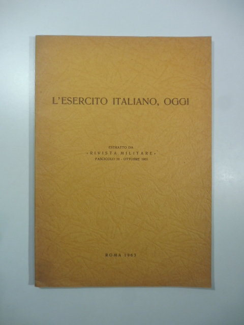 L'esercito italiano, oggi